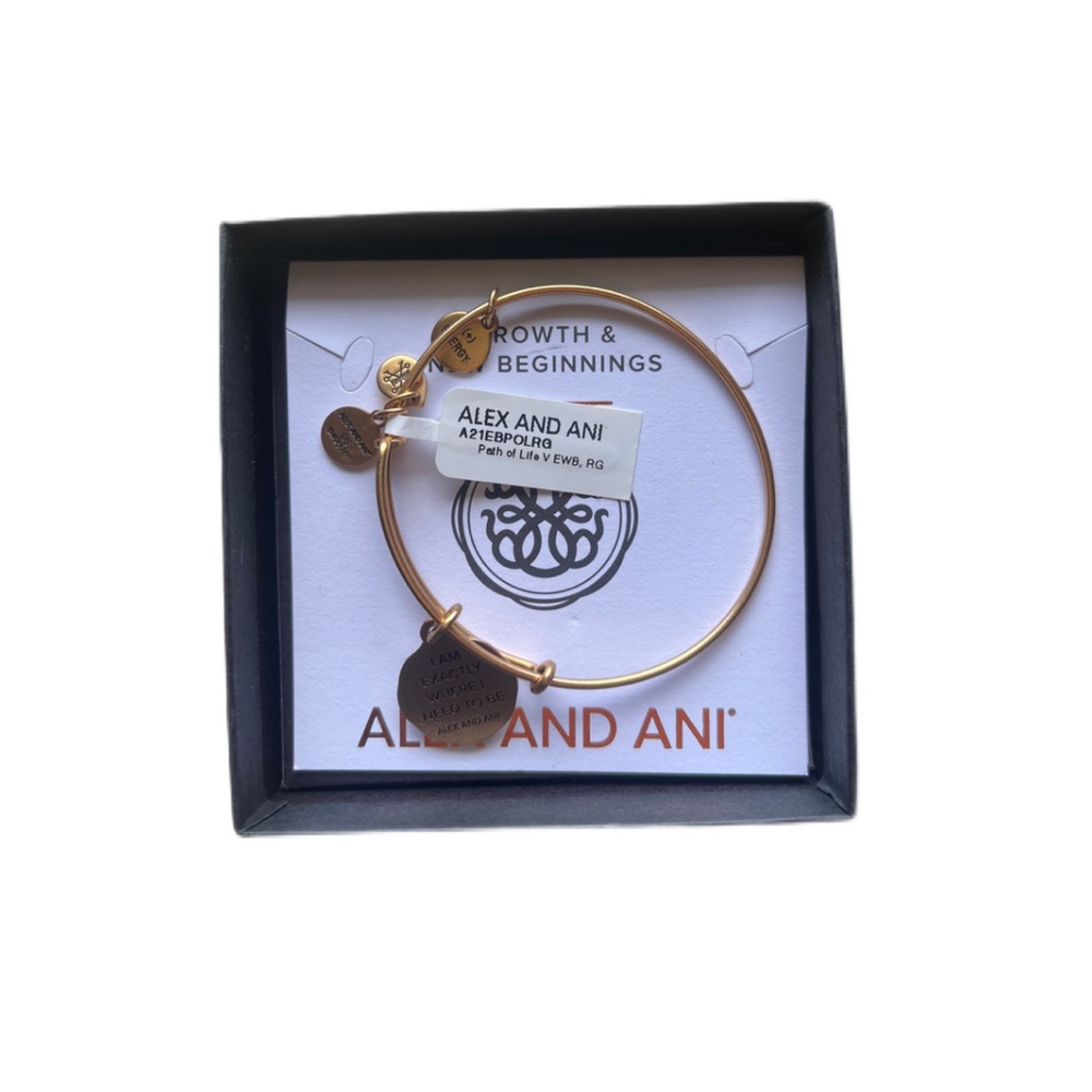 Alex and Ani Gold Charm Bracelet